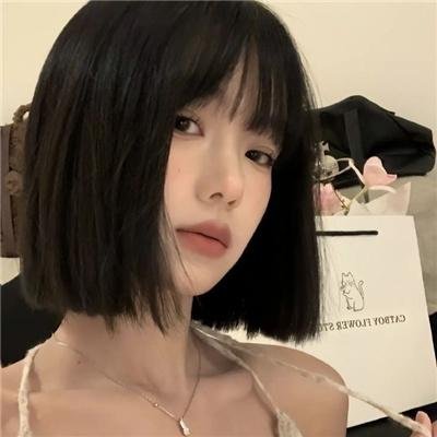 布里斯比熊